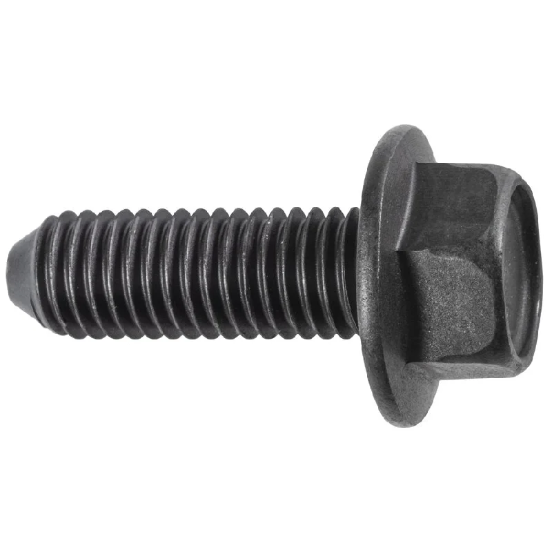 Screws for Cabinet Installation-Auveco # 23711 Hex Flange Head Cap Screw M10-1.5 X 30mm - Black 11502607. Qty 25.